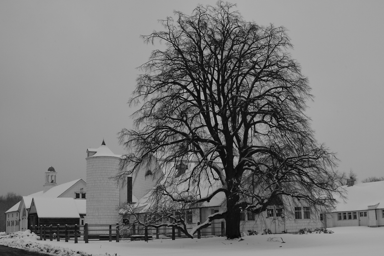 2010 02 16 IMG 8674e